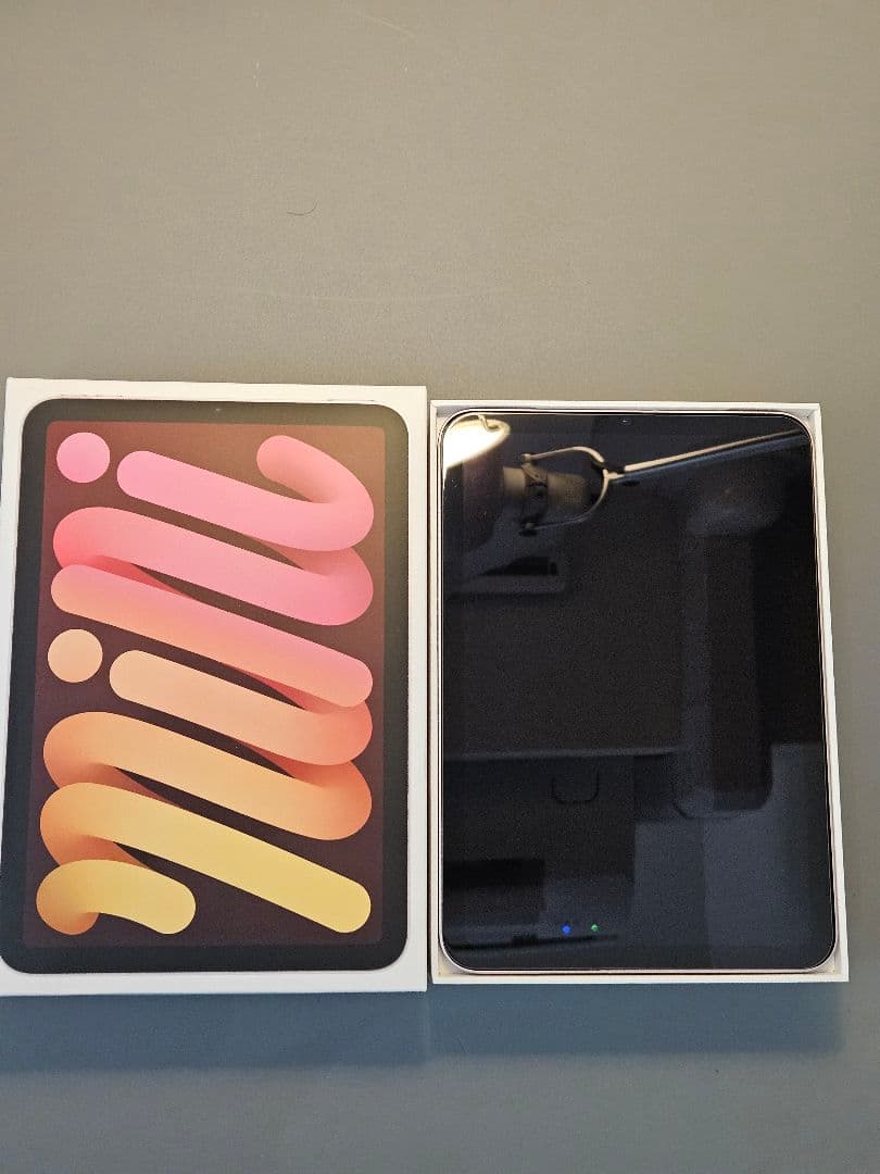 専用 iPad mini 6 64GB Wi-Fi+ Cellular ピンク