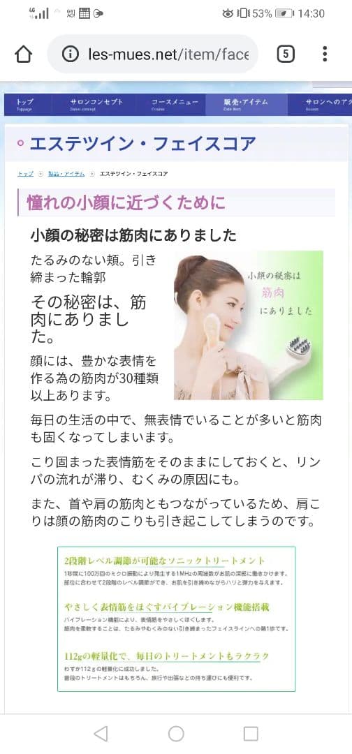 ☆新品美容器☆エステツイン美顔器〜小顔効果〜