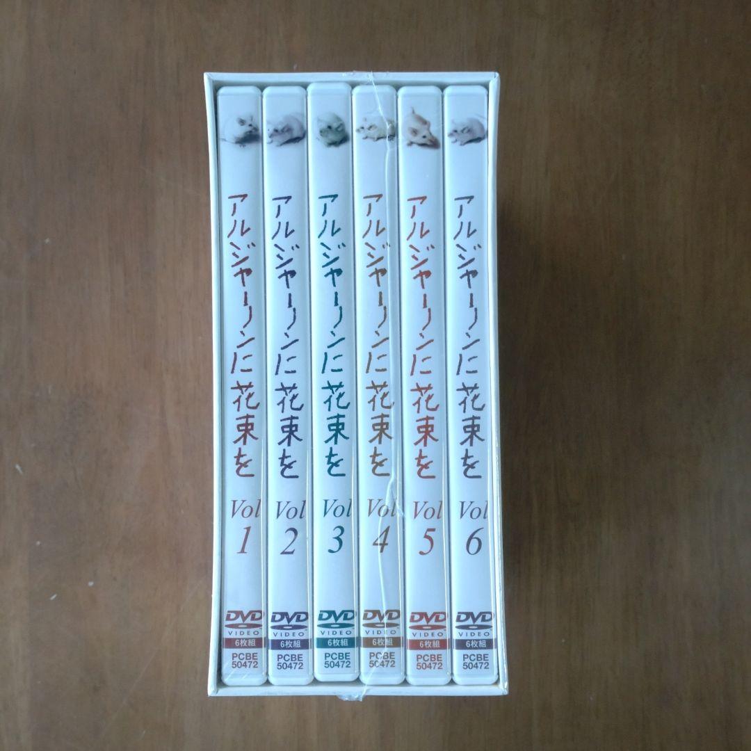 アルジャーノンに花束を DVD-BOX〈6枚組〉
