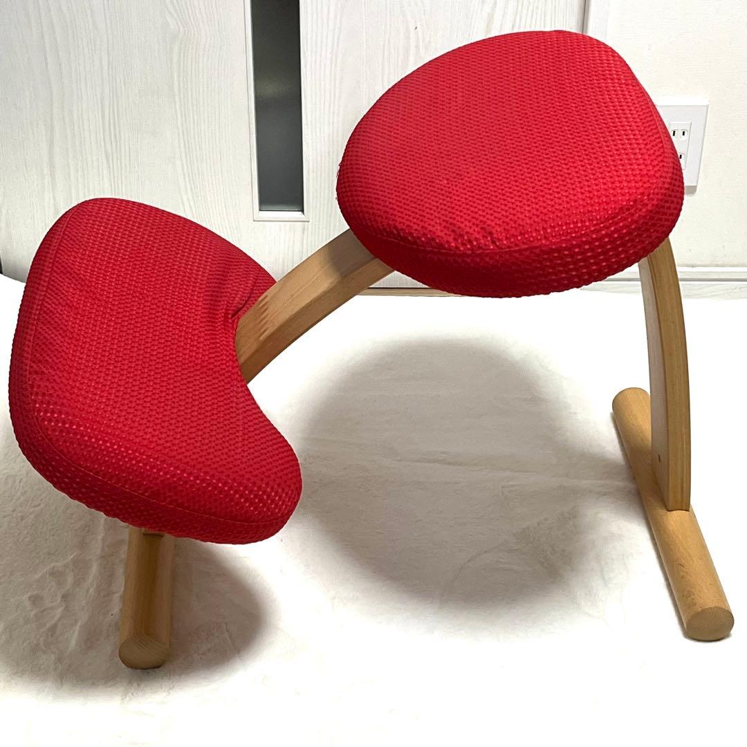 【美品】バランスイージー グレー 赤カバー付き バランスチェア RYBO