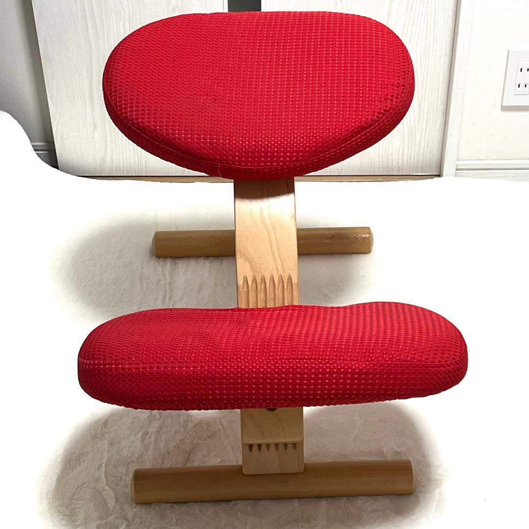 【美品】バランスイージー グレー 赤カバー付き バランスチェア RYBO