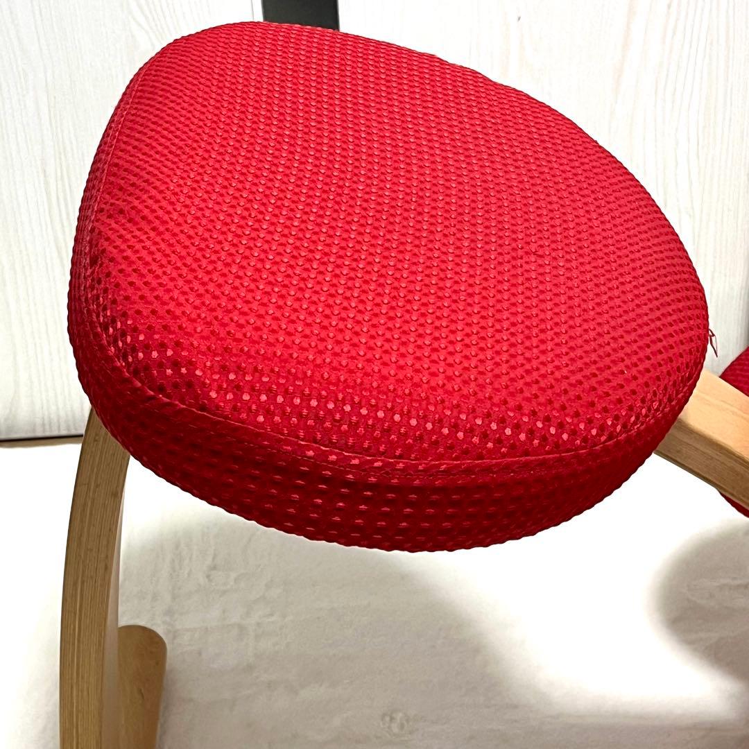 【美品】バランスイージー グレー 赤カバー付き バランスチェア RYBO