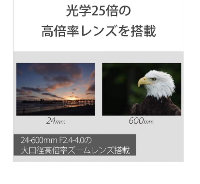 SONY デジタルカメラCyber-shot RX10IV DSC-RX10M4