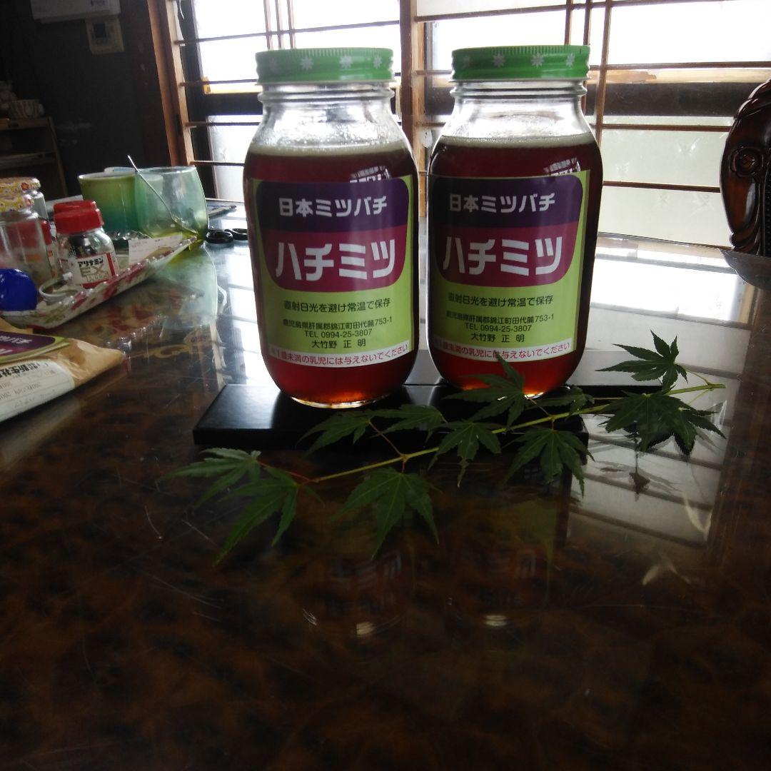 日本ミツバチ ハチミツ 2本セット