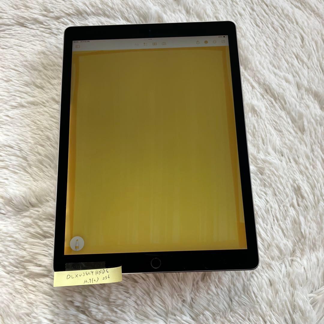 【完動品】iPad Pro 12.9 第2世代 256GB 【すぐ発送】