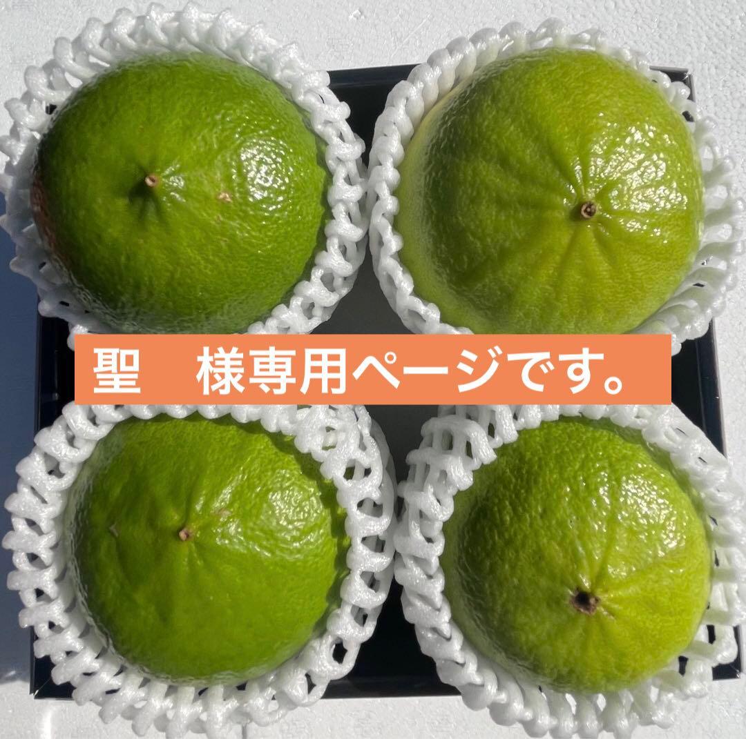 1国産ベルガモットオレンジ果実香りが強い露地栽培約:9k A品【一部分B品含む】