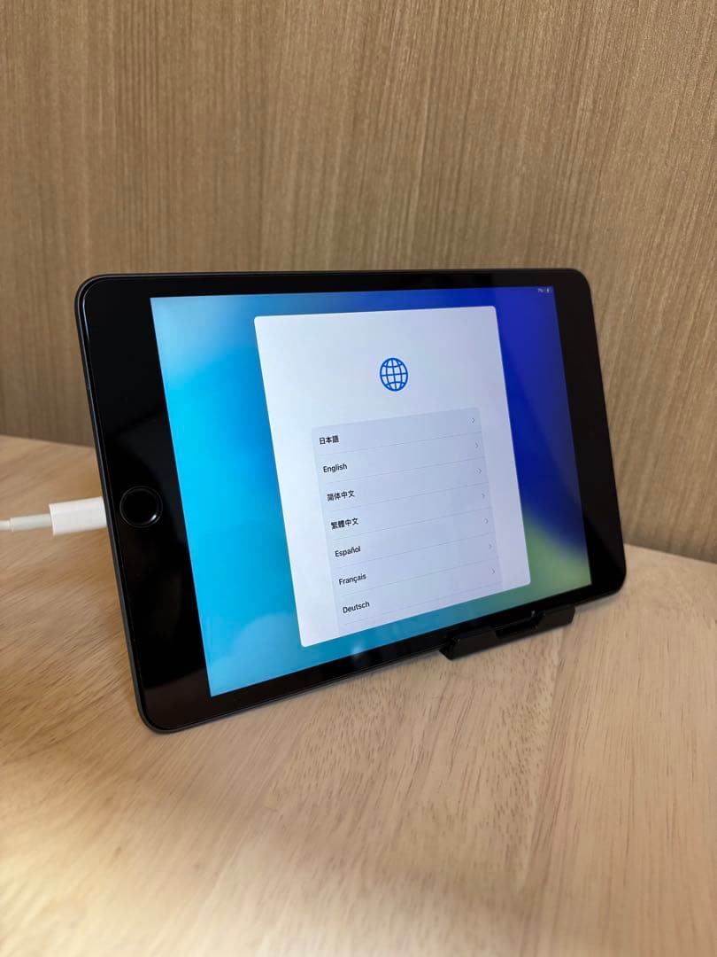 iPad mini Wi-Fi + Cellular 256GB スペースグレイ