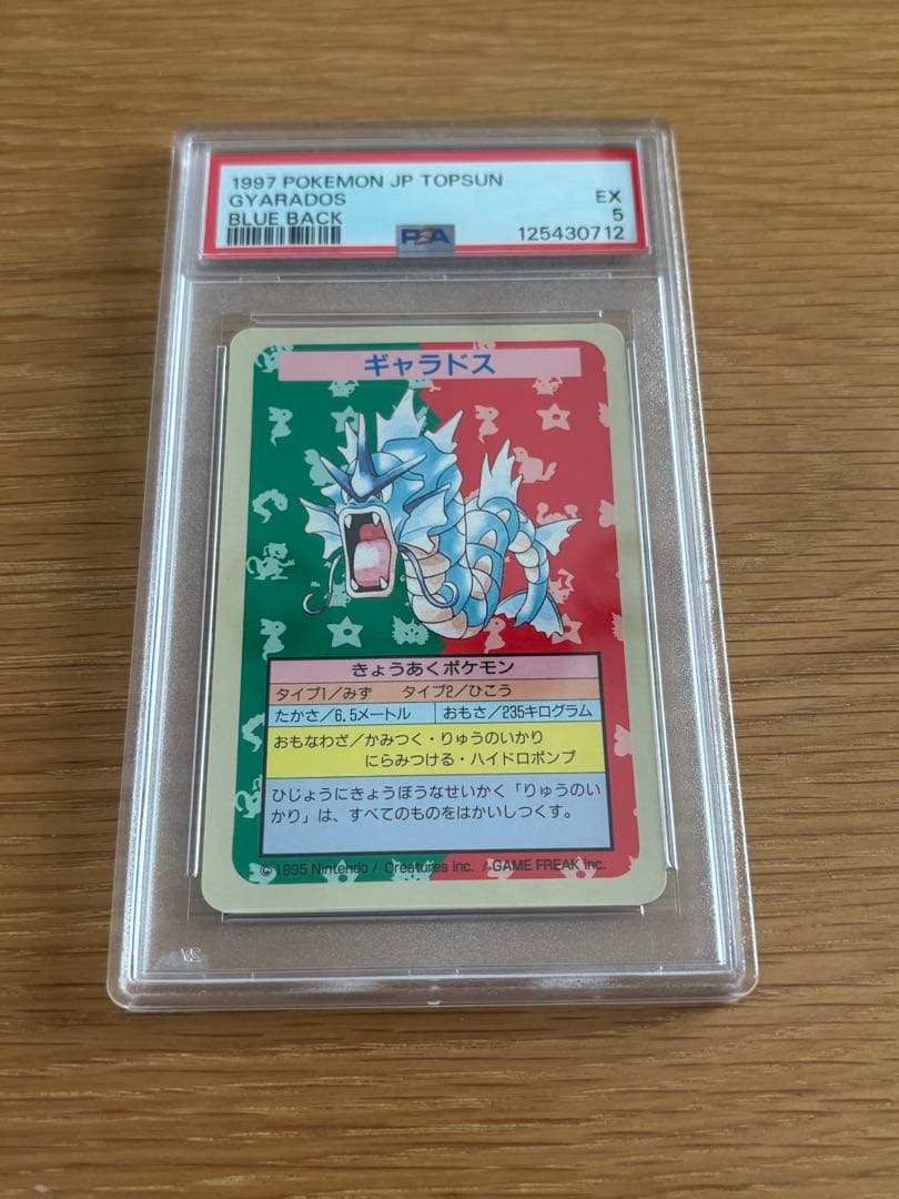 PSAトップサン　ギャラドス　番号なし　エラーカード　希少　ポケモンカード　裏青