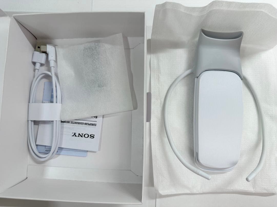 [SONY]REON POCKET 5(レオンポケット5)箱付き美品