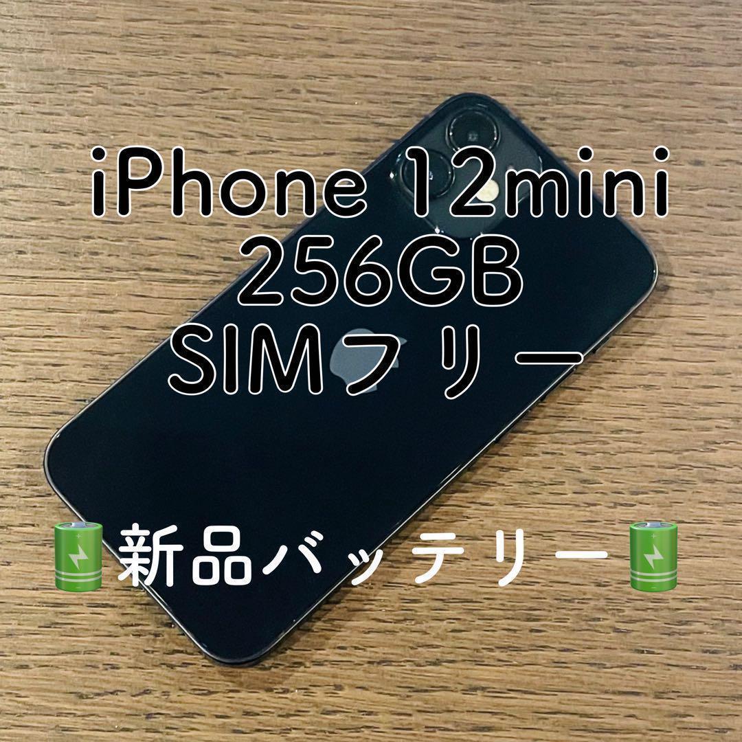 【美品】iPhone12mini 本体 ブラック 256GB SIMフリー 本体