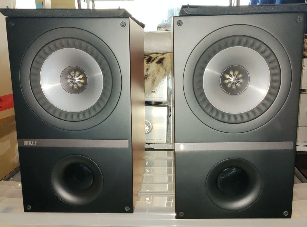 KEF Q300 ブックシェルフスピーカー 8インチ 赤