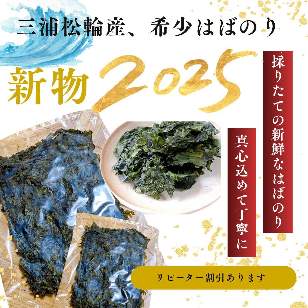 扇3セット(15枚)2025年新物ハバノリ