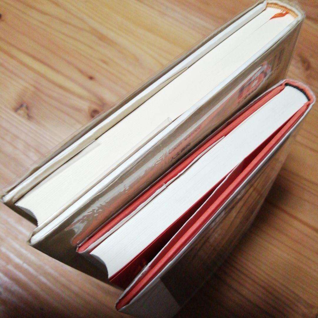 現実界・2撰【『後期ラカン入門 』『文化と現実界』】