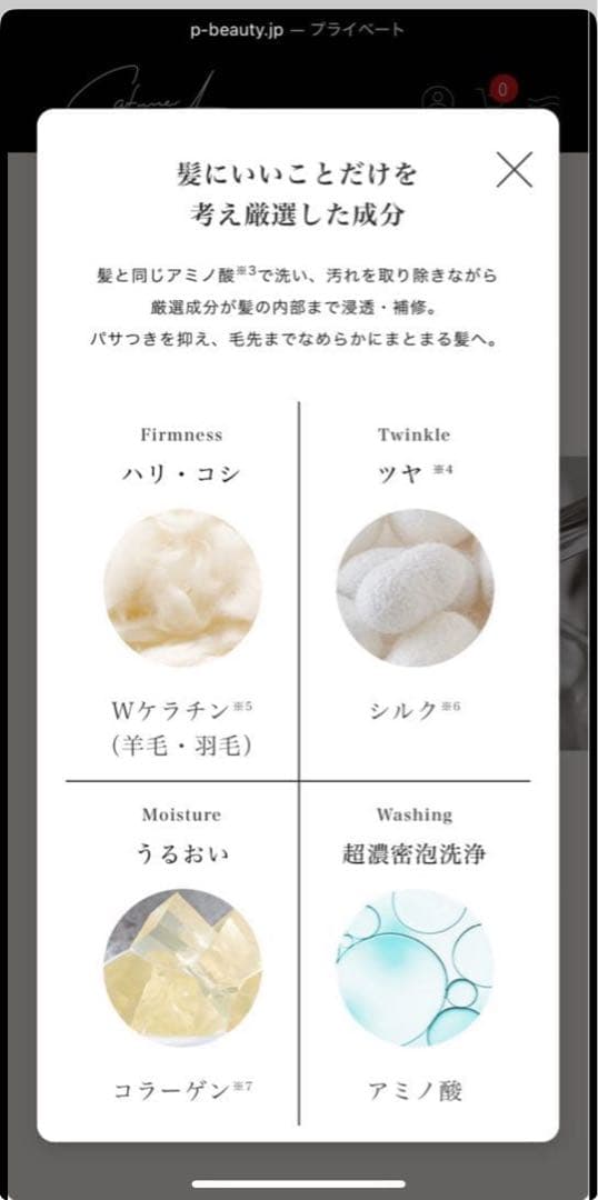 【新品未使用】シャンプー＆トリートメントセット