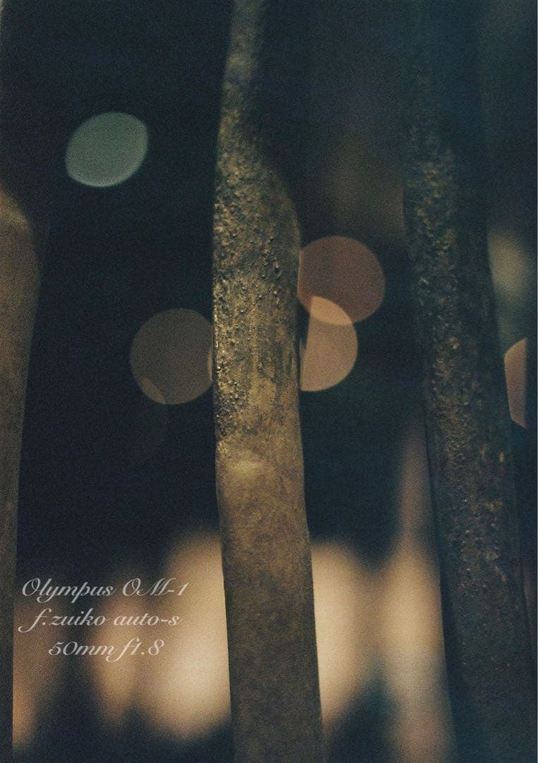 ★完動品＊美品＊初期保証★OM-1 &レンズf1.4★リザード・オリーブブラック