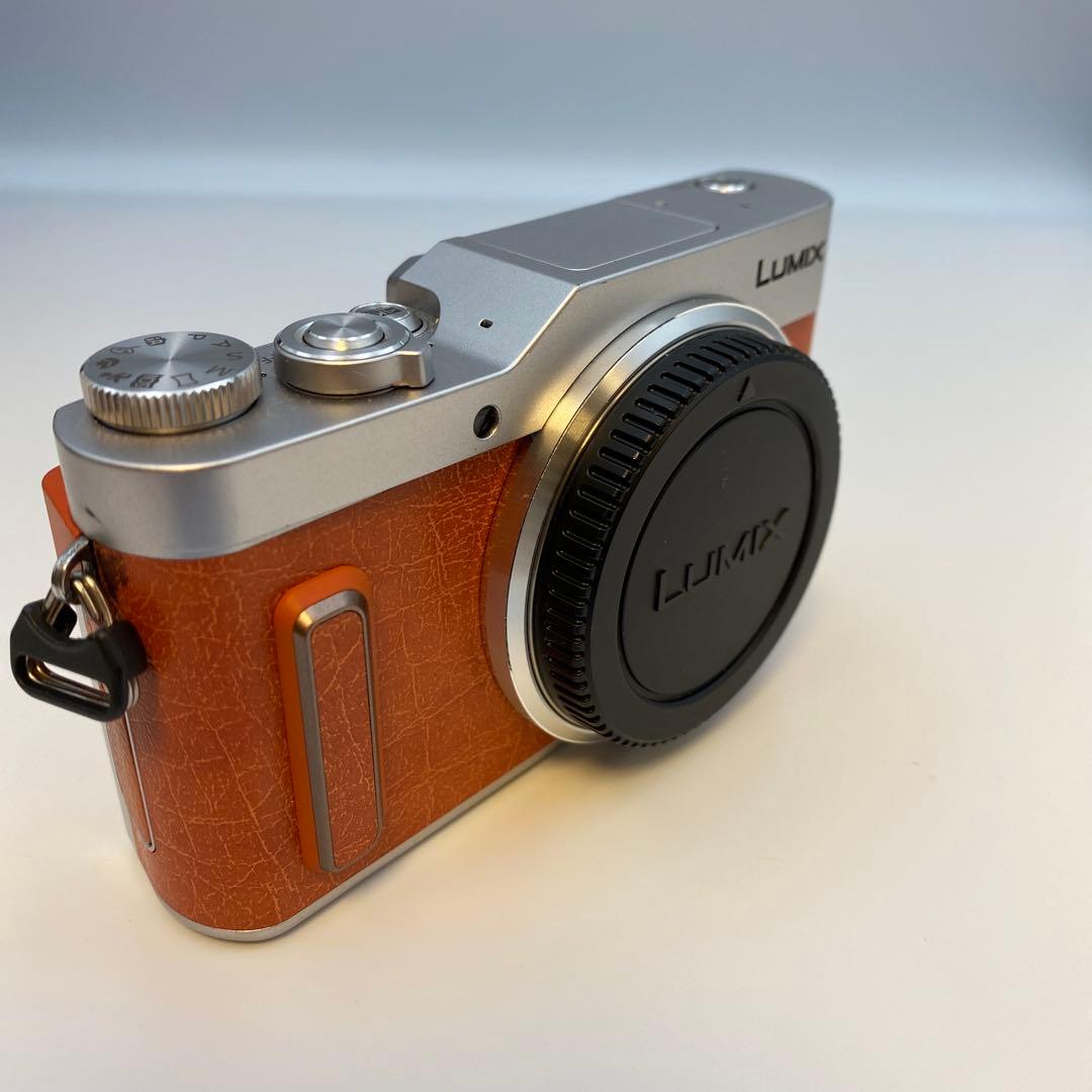 LUMIX GF10/GF90/GF9 オレンジ