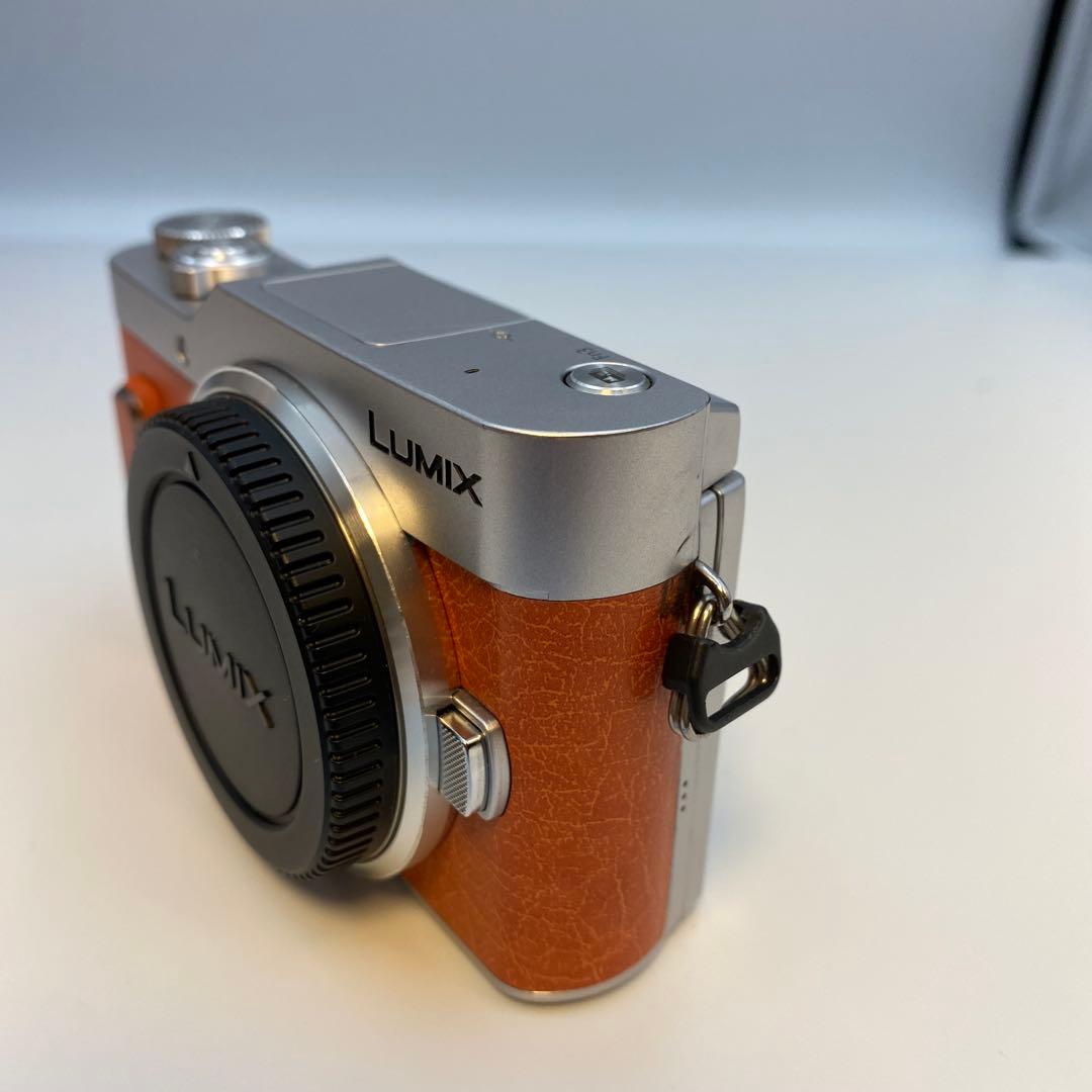 LUMIX GF10/GF90/GF9 オレンジ