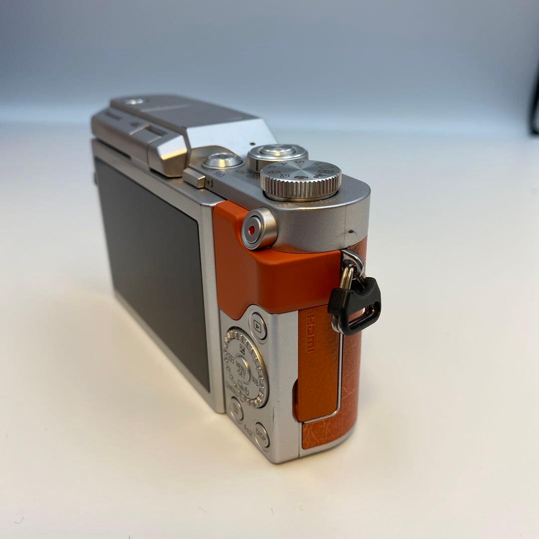 LUMIX GF10/GF90/GF9 オレンジ