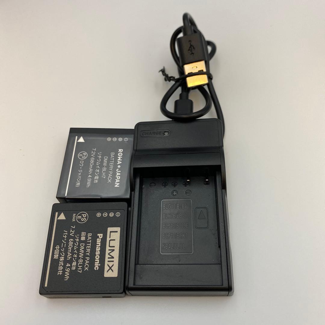 LUMIX GF10/GF90/GF9 オレンジ