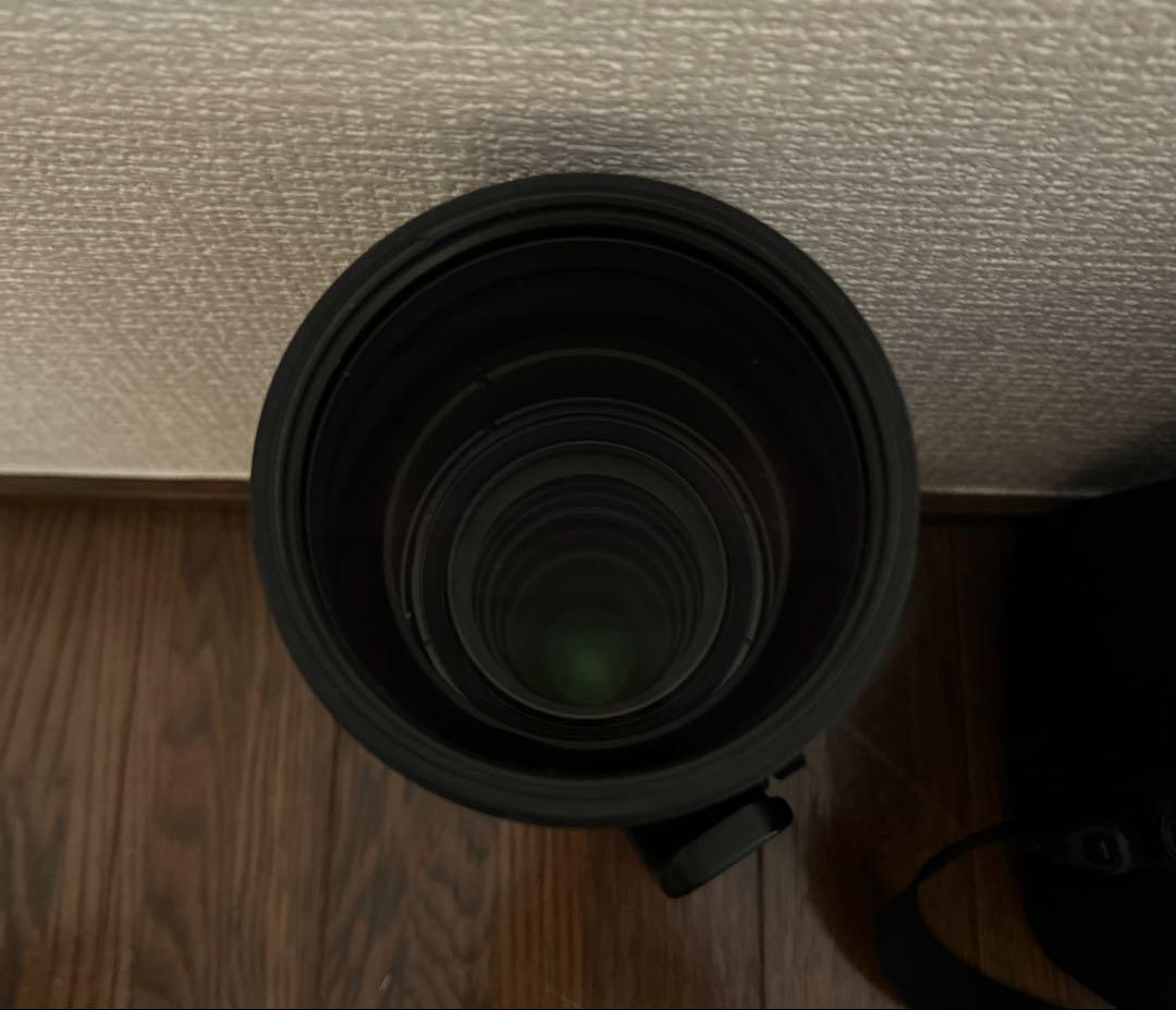 フィルムカメラ SIGMA 150-600mm F5-6.3