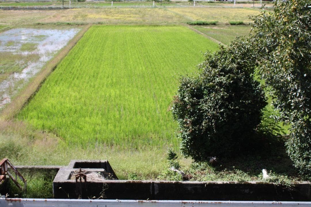 触れるたびに嬉しい！Canon Kiss X2 標準レンズセット