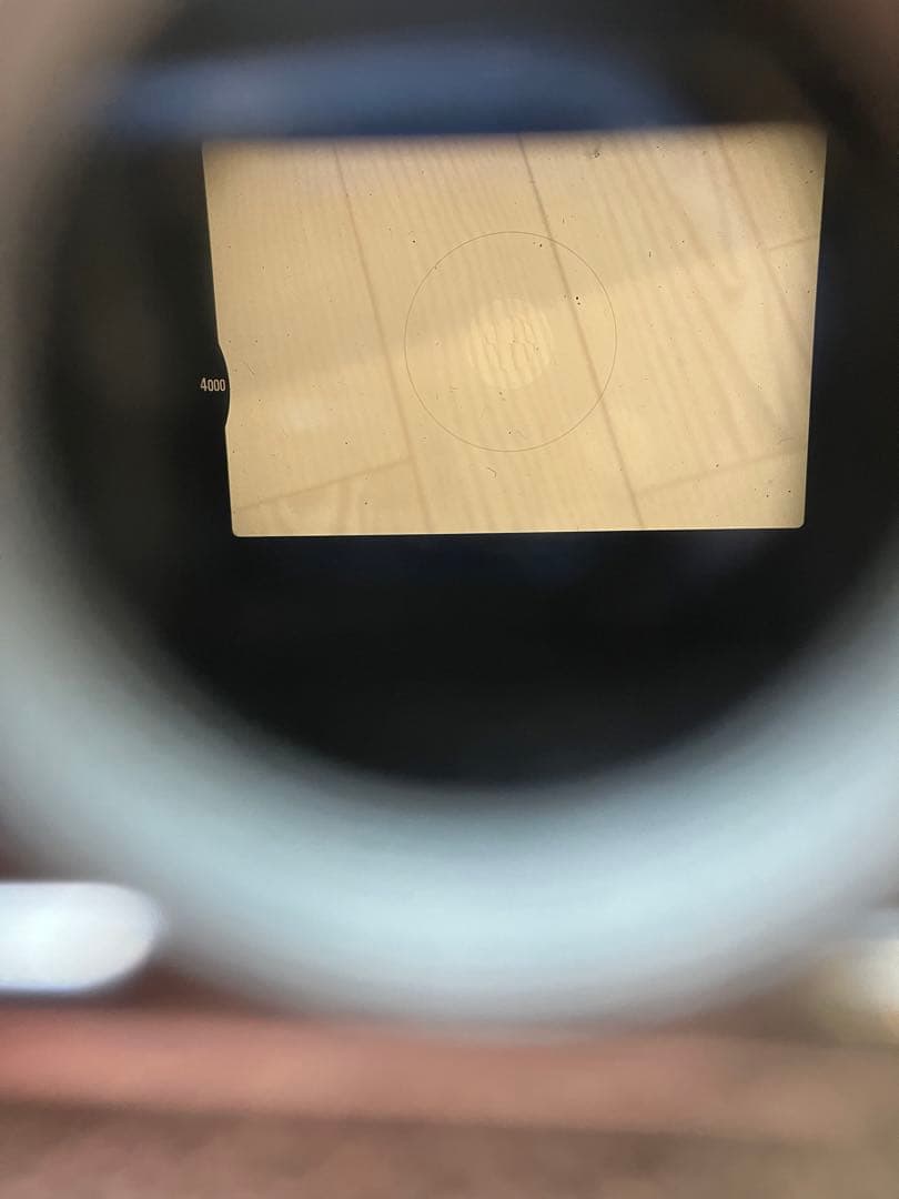 Nikon New FM2 50mm 標準レンズセット