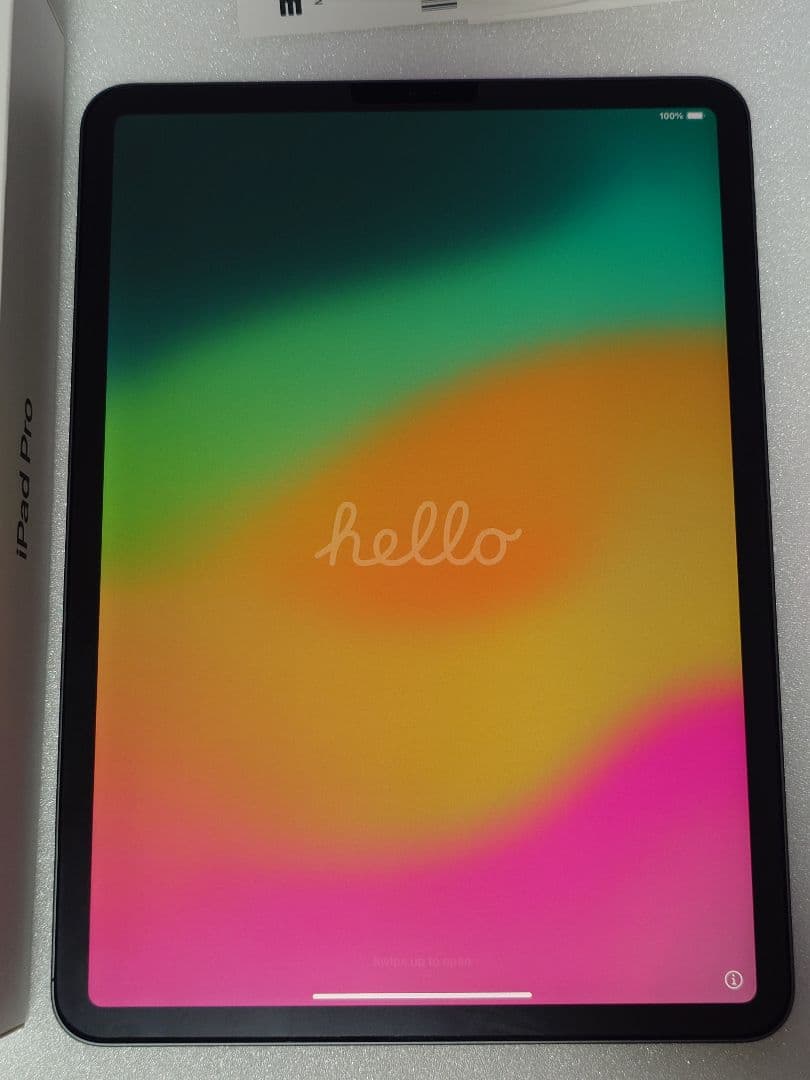 iPadPro11インチ256G（第1世代）Applepencil（第2世代）付