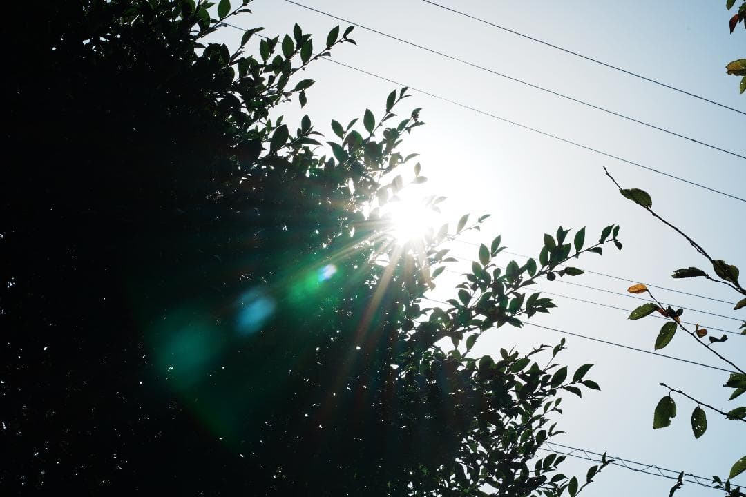 プロ検査済み未使用級◆隠れGレンズSEL85F18で子供の一瞬を作品に