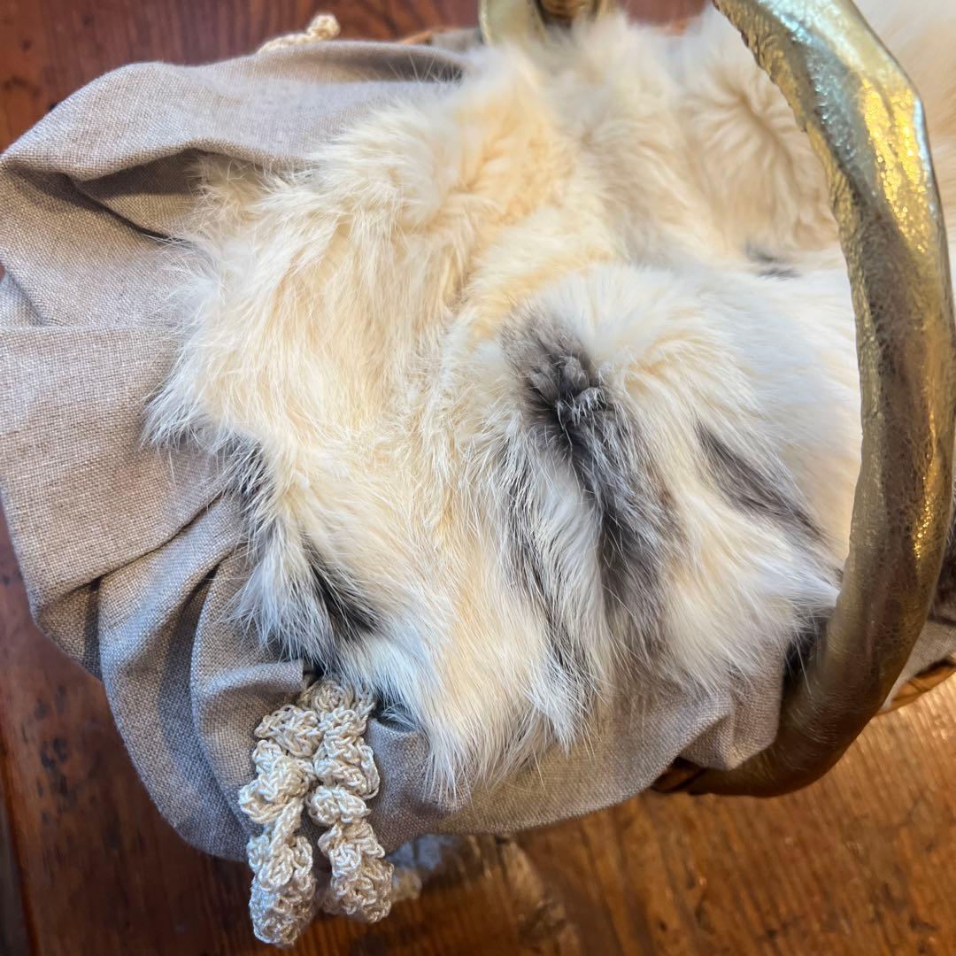 エバゴスカゴバッグ@a66