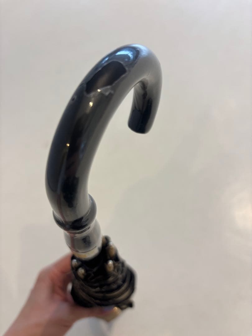 ビューランス カリグラフィー刺しゅう柄 晴雨兼用傘 (トップフラット折傘)