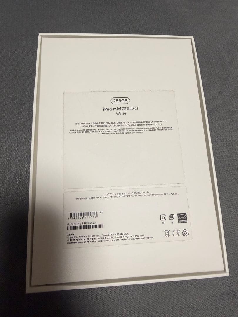 iPad mini6 256GB 本体