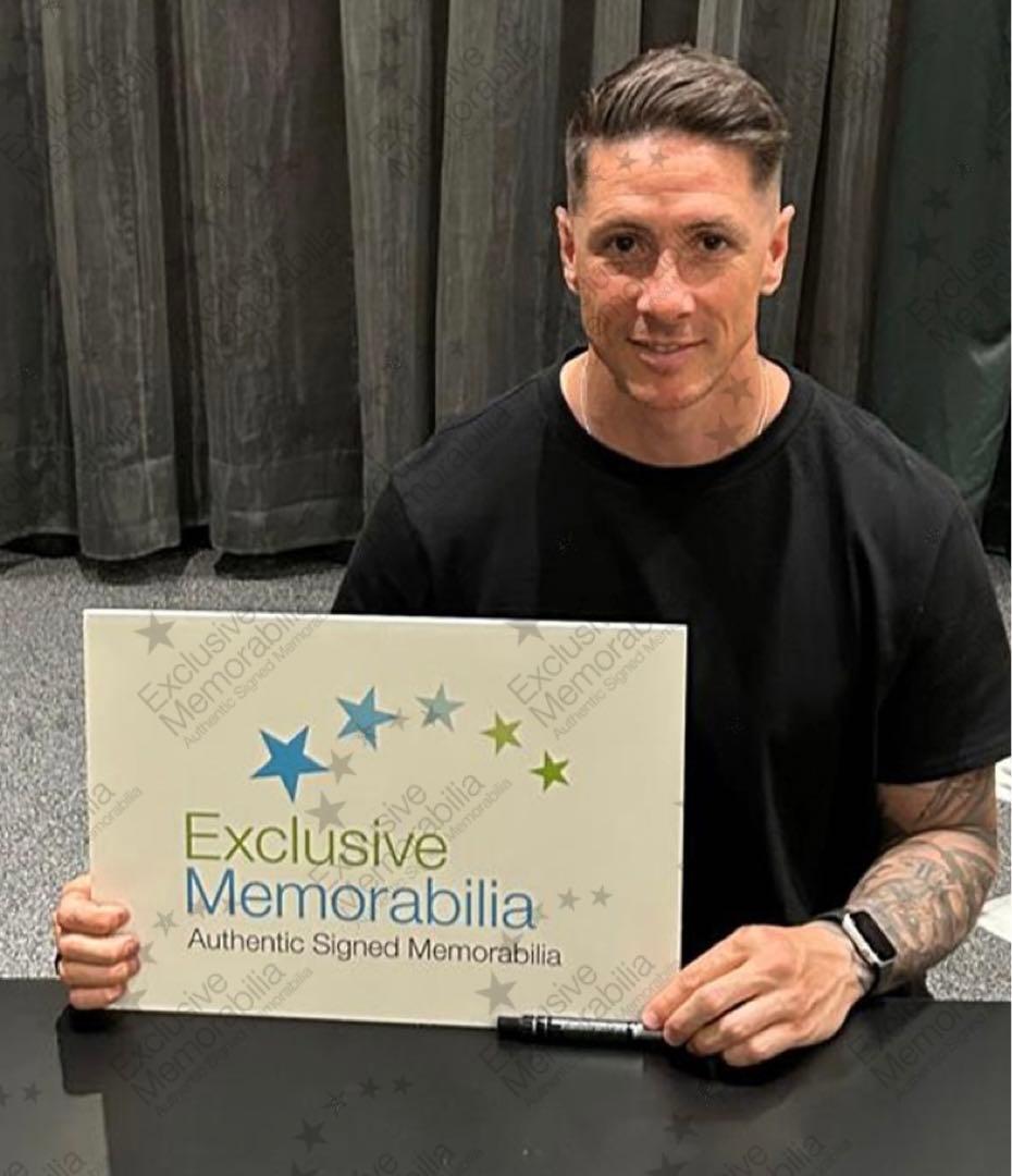 【証明書付】トーレス 直筆サイン プレミア 初GOAL A3サイズ