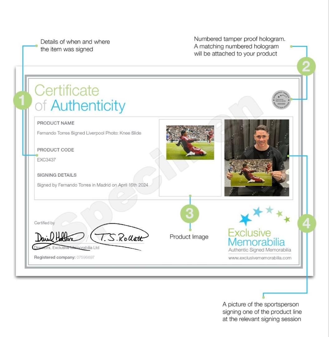 【証明書付】トーレス 直筆サイン プレミア 初GOAL A3サイズ