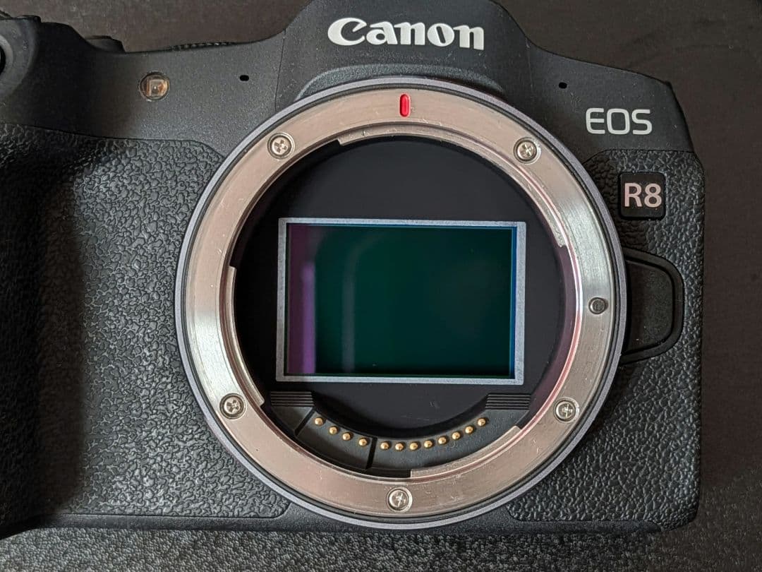 【週末特価】Canon EOS R8 ミラーレスカメラ 本体