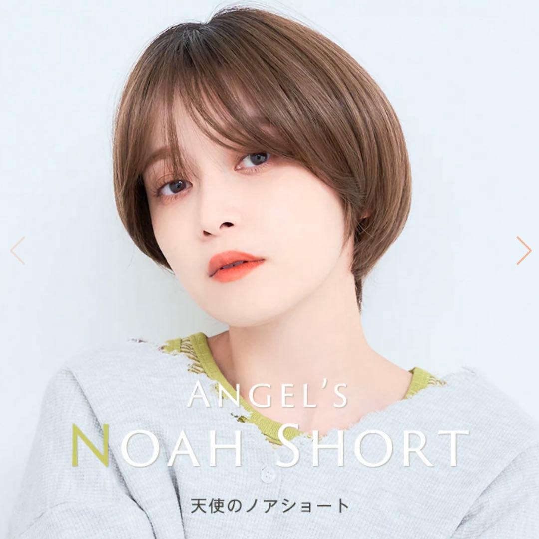 リネアストリア 天使のノアショート/ミルキーモカブラウンプリン