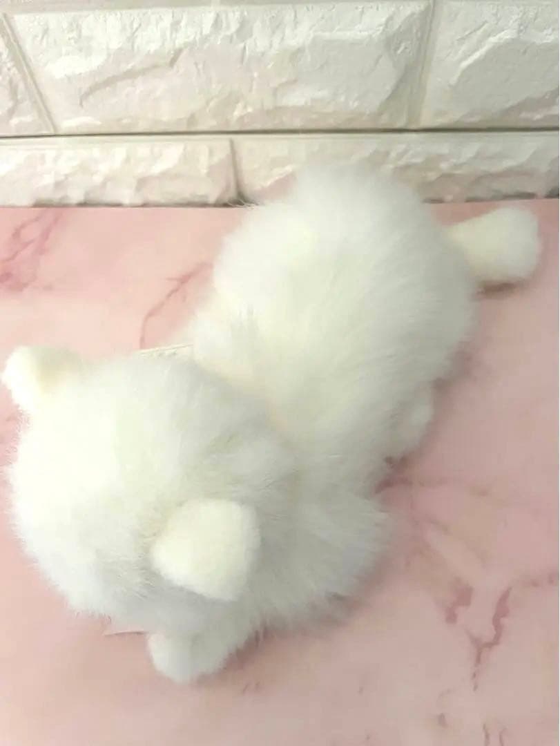 ねこ　ぬいぐるみ　タグ付き　四季オリジナルぬいぐるみ　日本製　ペルシャネコ　猫