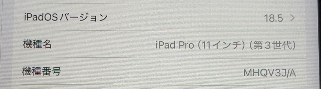 iPad Pro第3世代（256GB）+Magic Keyboard