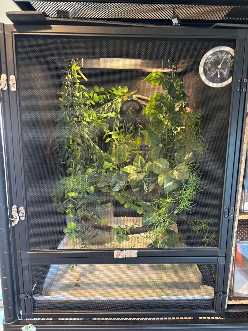 スクリーンテラリウム4560 GEX エキゾテラ