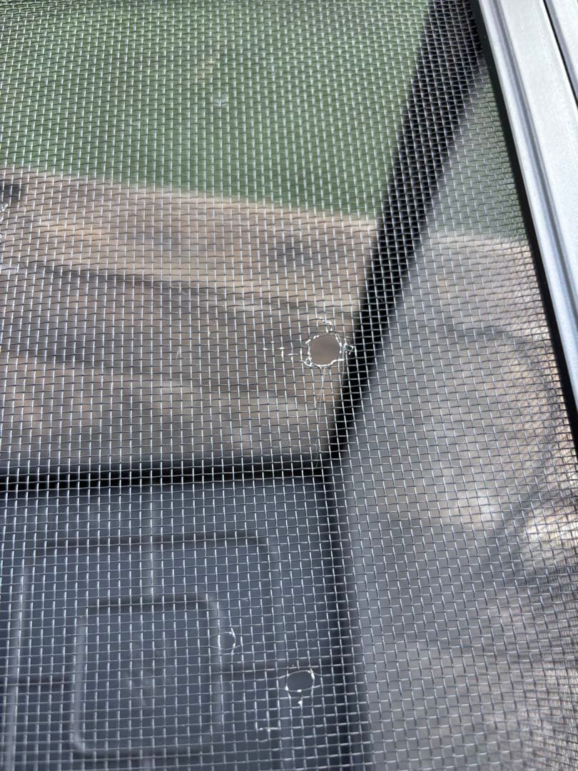 スクリーンテラリウム4560 GEX エキゾテラ