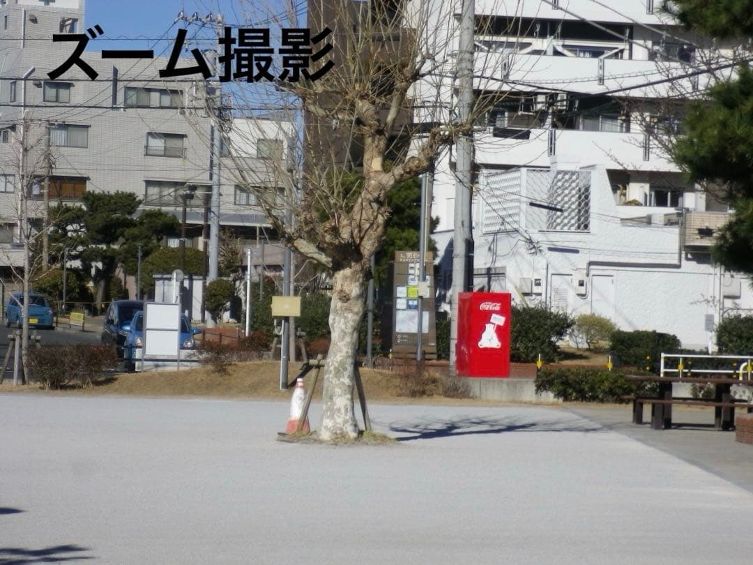 実写美⭕️【動作確認済み】PENTAX OPTIO H90 オールドコンデジ