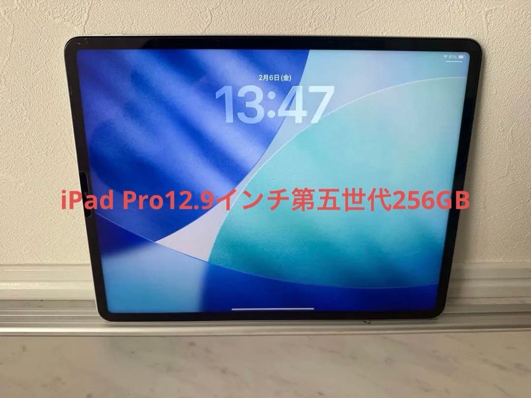 iPad Pro 12.9インチ　第五世代　WiFi 256GB