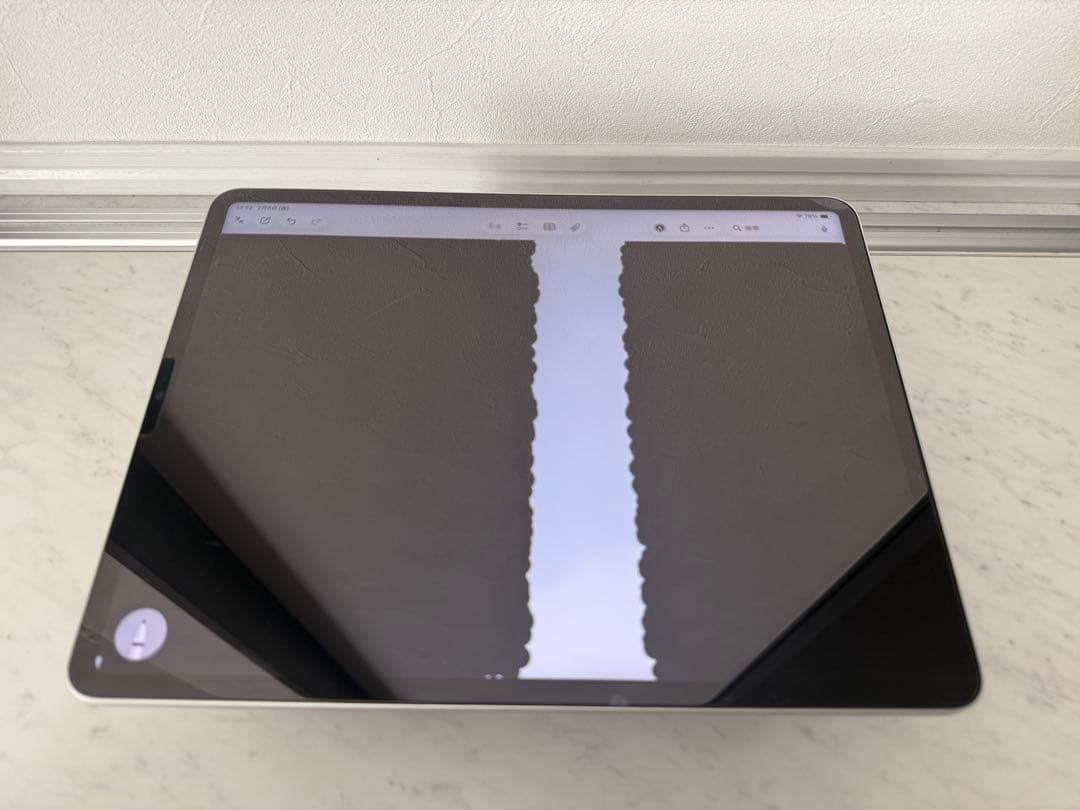 iPad Pro 12.9インチ　第五世代　WiFi 256GB