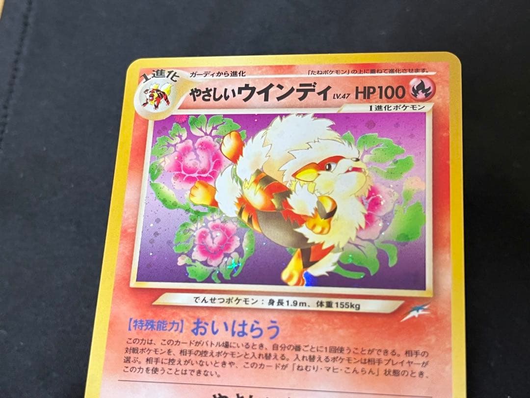 ソ*ウ様 やさしいウィンディ 旧裏