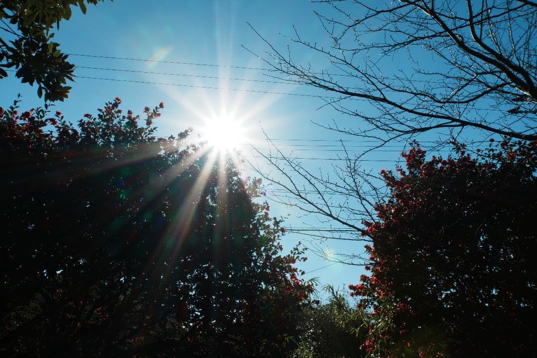 レンズ交換から解放される1本 SONY SEL18200LE 美品 719