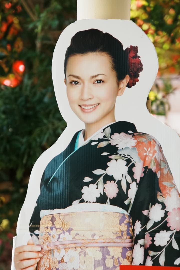 レンズ交換から解放される1本 SONY SEL18200LE 美品 719