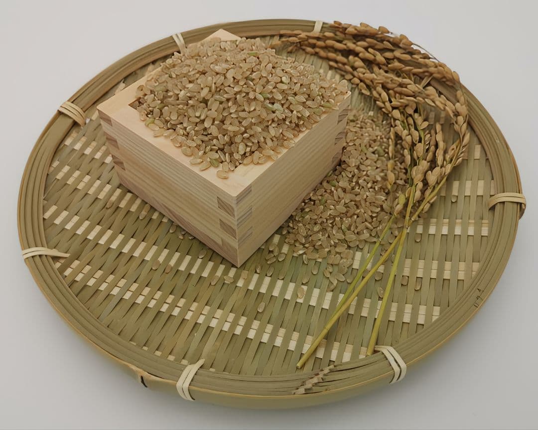 無農薬【令和7年 新米】ひとめぼれ 自然栽培米 宮城県 20kg 玄米 2025