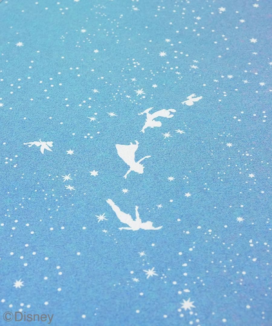 SUKALA プリントヨギラグ アリエル ピーターパン LAVA ラグ2枚セット