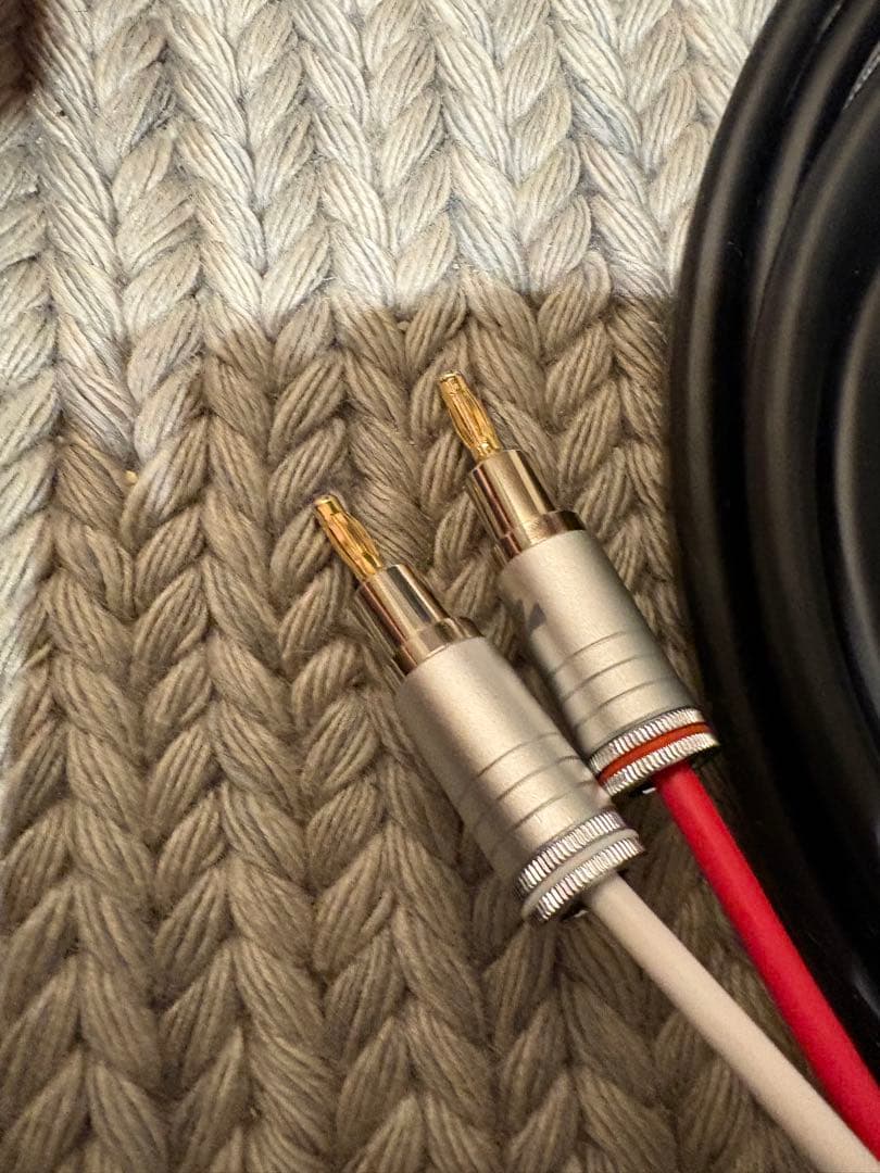 ラックスマン　JPS-100 5m✖️2本 JPB-10バナナ端子✖️4