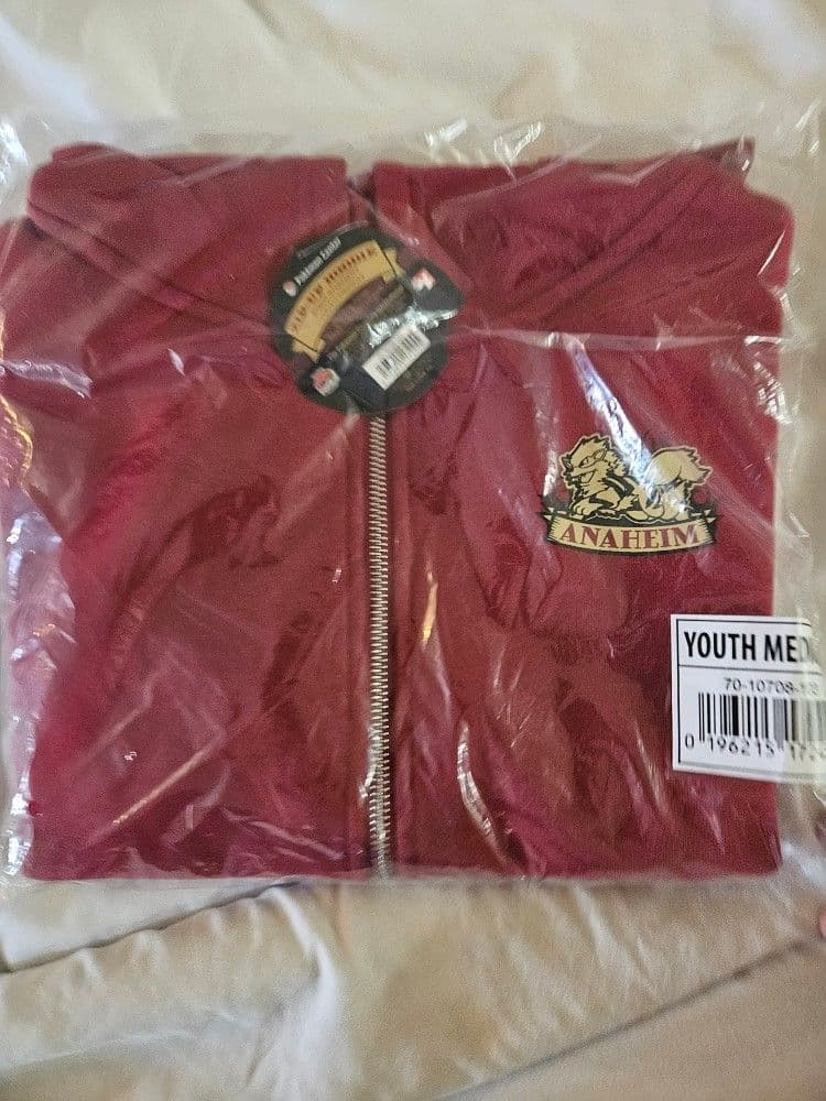 WCS 2025 ポケモン アナハイム パーカー フーディユース　M サイズ