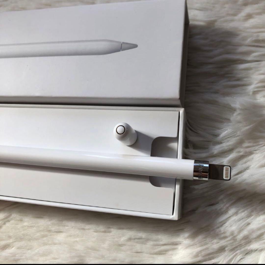 【早い者勝ち】iPad Pro 10.5 512GB 付属品多数！ 【すぐ発送】